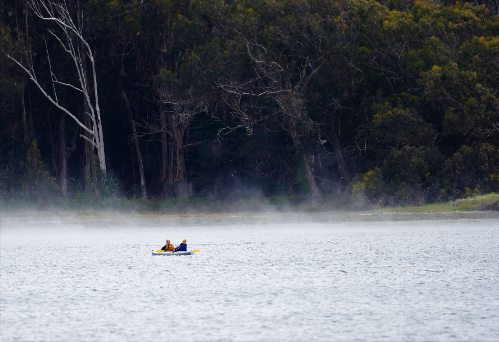 Mist on Morro Bay.jpg